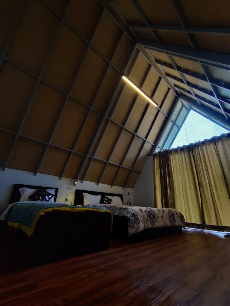 wildernest cottage (7)